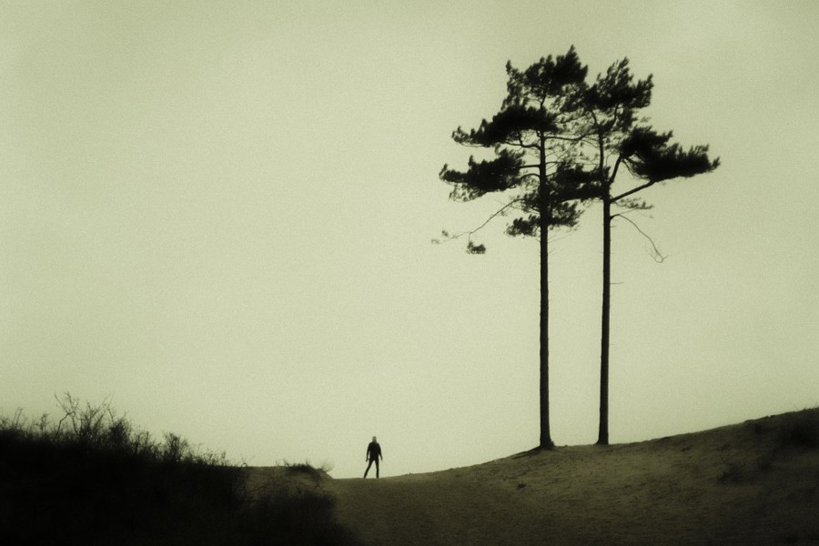 Two trees and a man